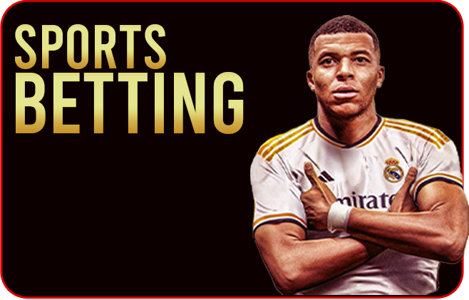Sports Book