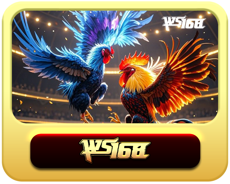 WS168